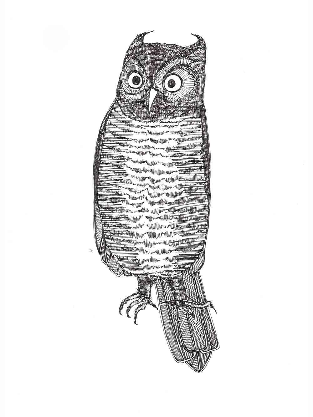 indignant owl ink drawing