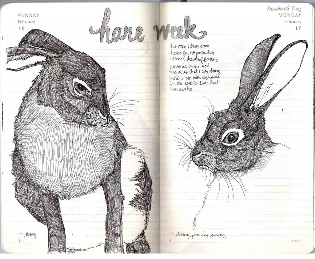 hare-week-1