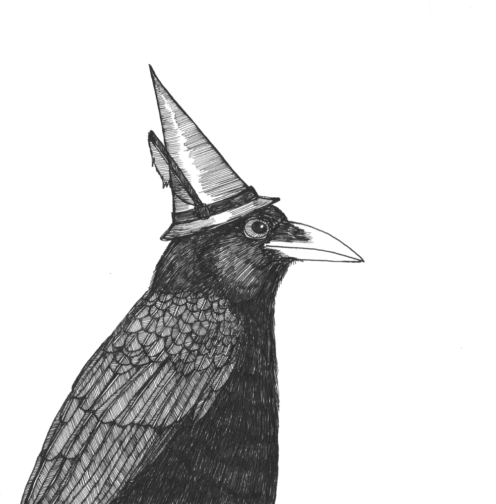 crow in a witch's hat drawing in ink