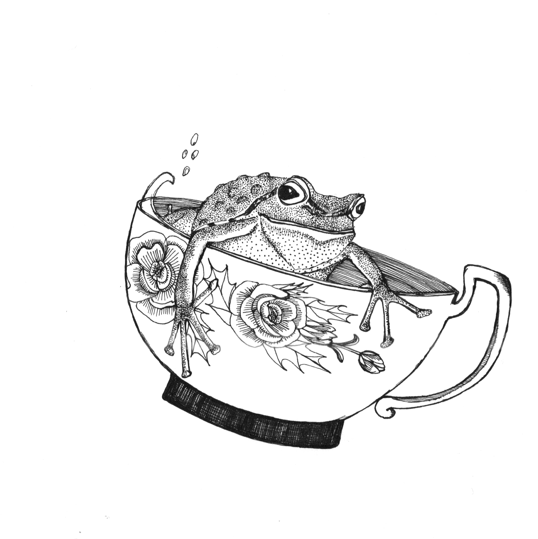 drawing of a frog in a teacup