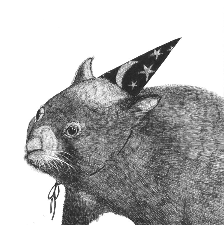ink drawing of a wombat in a wizard's hat