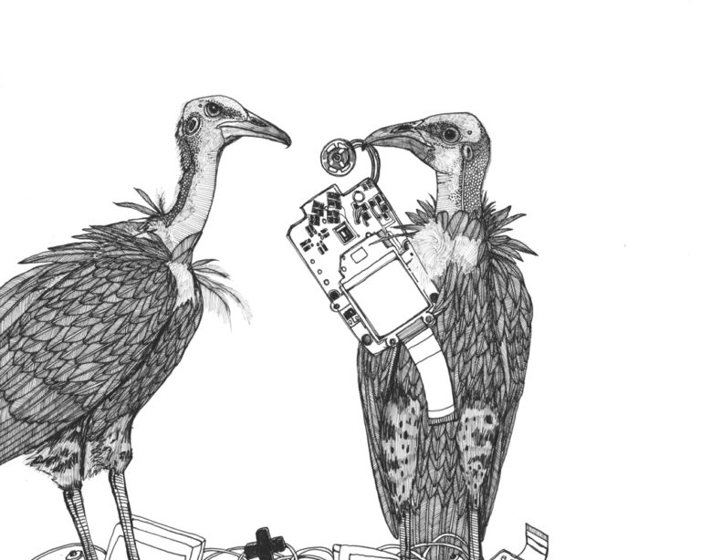 ink drawing of two vultures tearing apart a gameboy