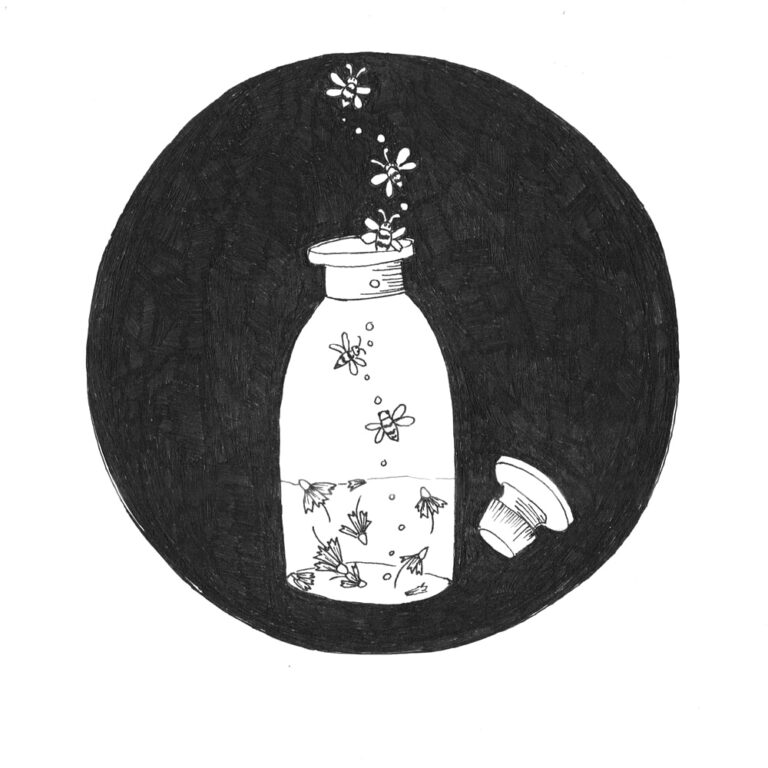ink drawing of an apothecary bottle with flowers and bees